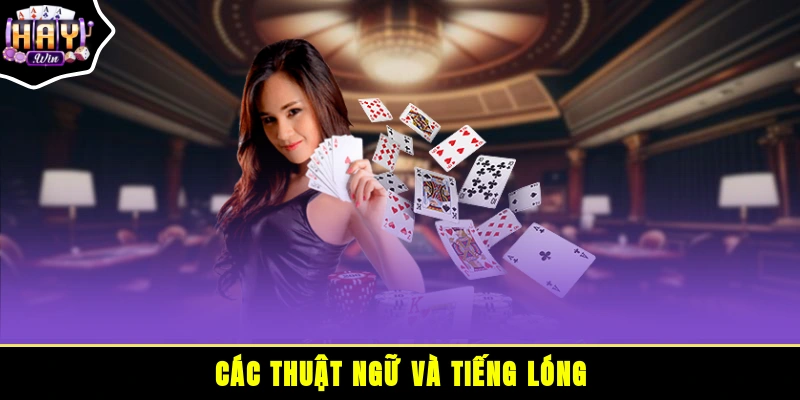 Các thuật ngữ và tiếng lóng 