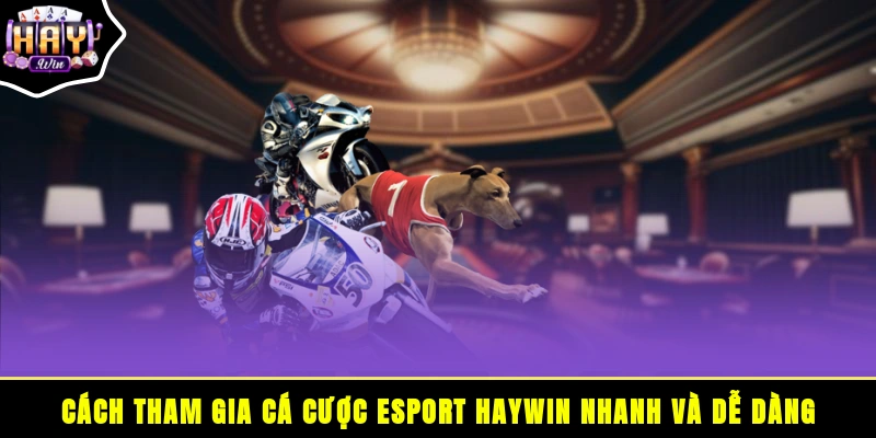 Cách tham gia cá cược Esport HAYWIN nhanh và dễ dàng
