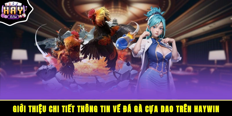 Giới thiệu chi tiết thông tin về đá gà cựa dao trên HAYWIN