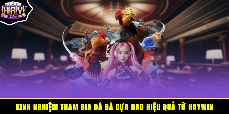 Kinh nghiệm tham gia đá gà cựa dao hiệu quả từ HAYWIN