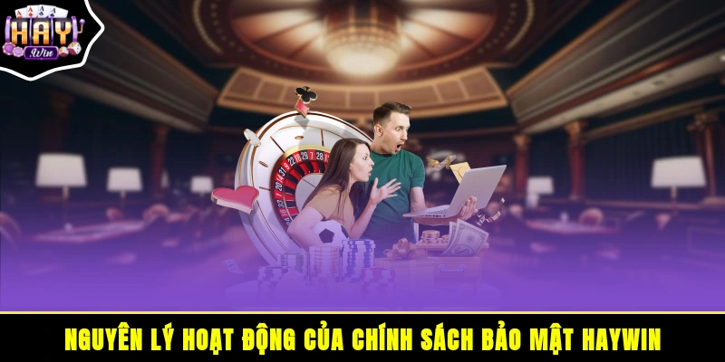 Nguyên lý hoạt động của chính sách bảo mật HAYWIN