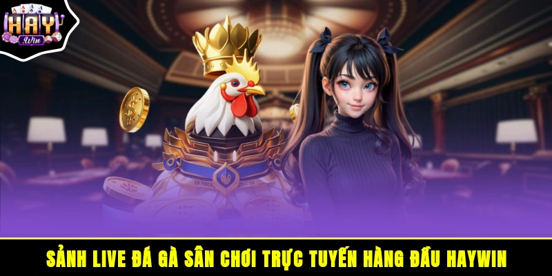 Sảnh Live đá gà