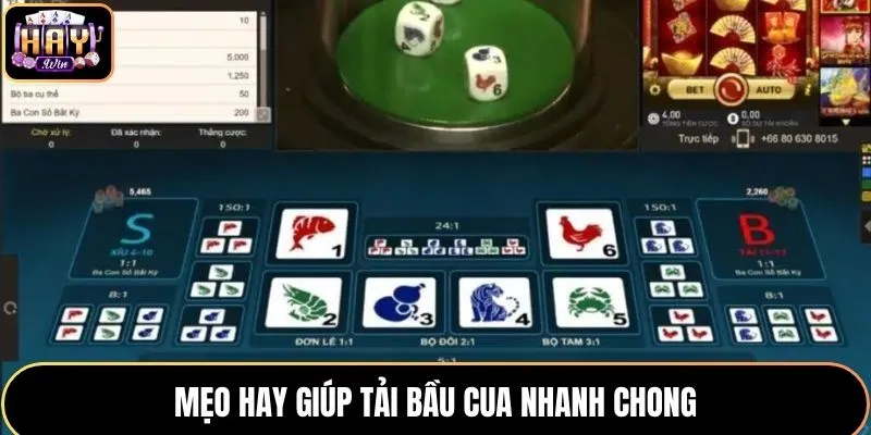 Người chơi tìm kiếm và xem video quảng cáo hack với lời hứa thắng dễ dàng